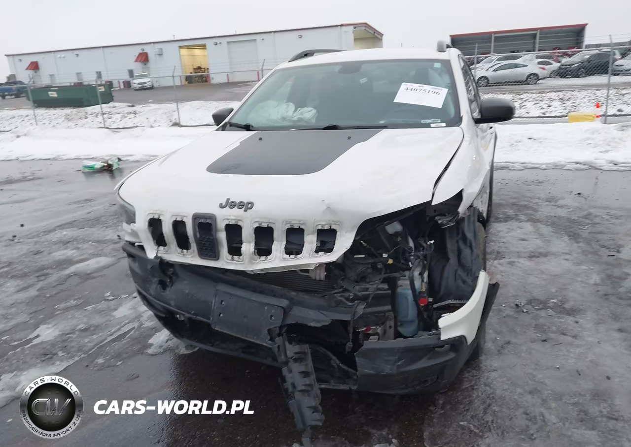 2019 Jeep Cherokee Trailhawk Elite 4X4 VIN:1C4PJMBNXKD246545 - 6