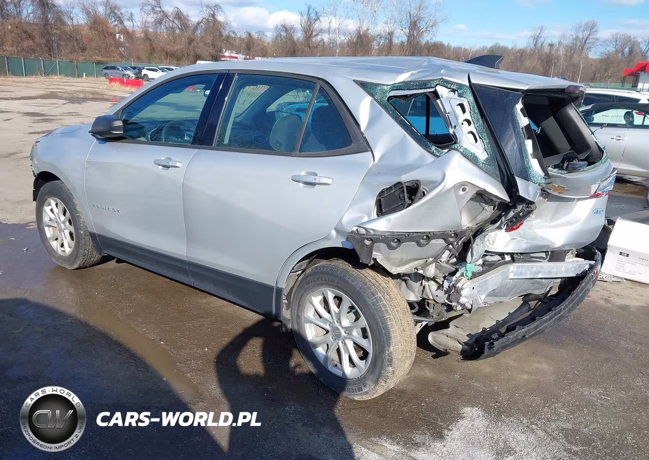 2018 Chevrolet Equinox Ls VIN:2GNAXHEV3J6315992 - 3