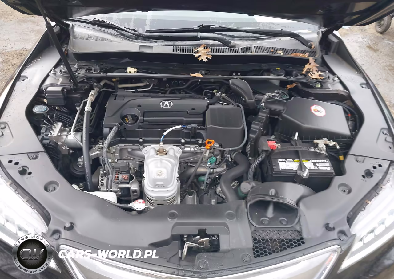 2015 Acura Tlx Tech VIN:19UUB1F53FA012670 - 10
