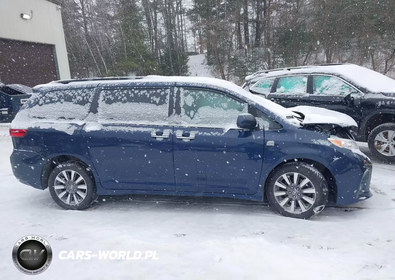 2020 Toyota Sienna Xle VIN:5TDDZ3DC4LS246421 - 12