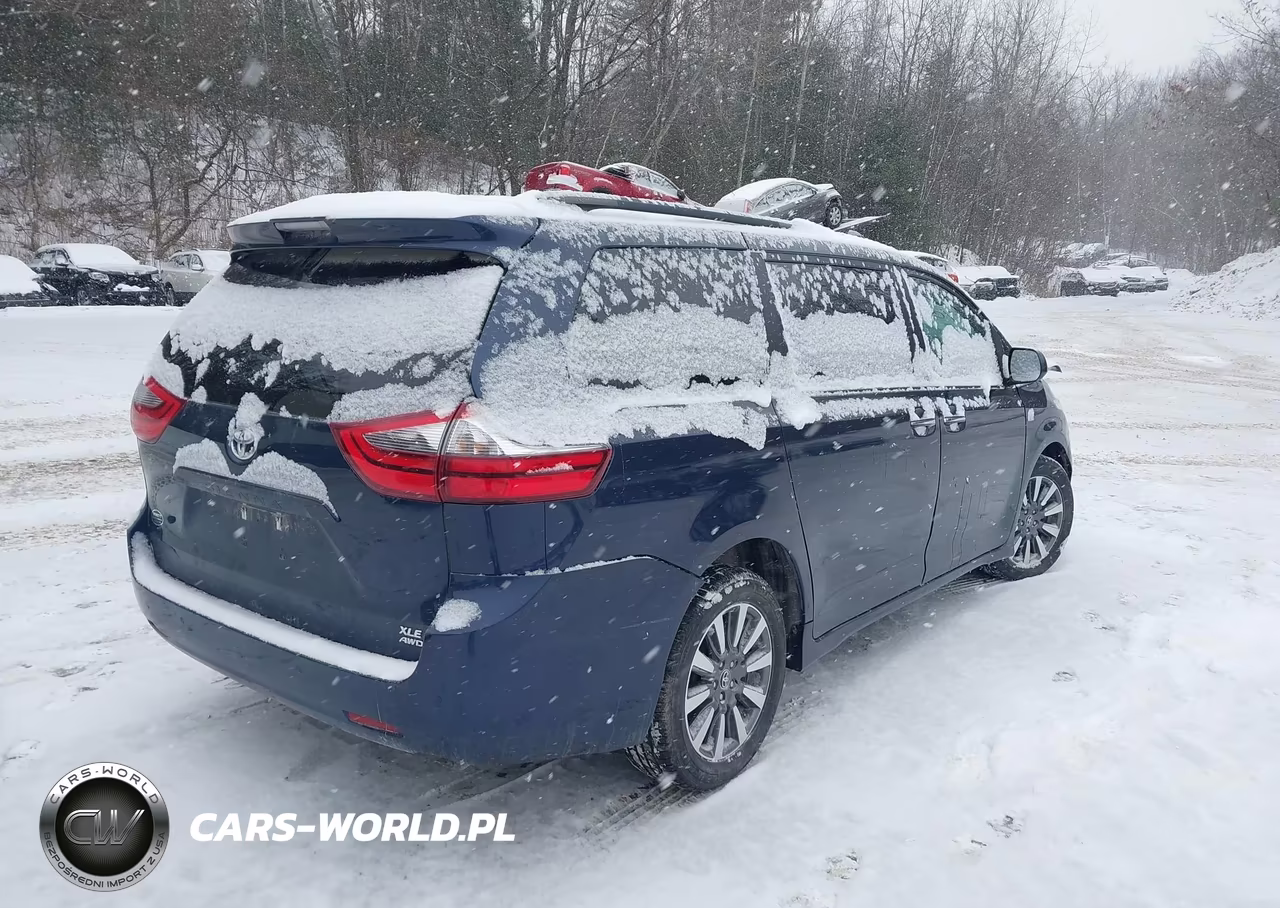 2020 Toyota Sienna Xle VIN:5TDDZ3DC4LS246421 - 4