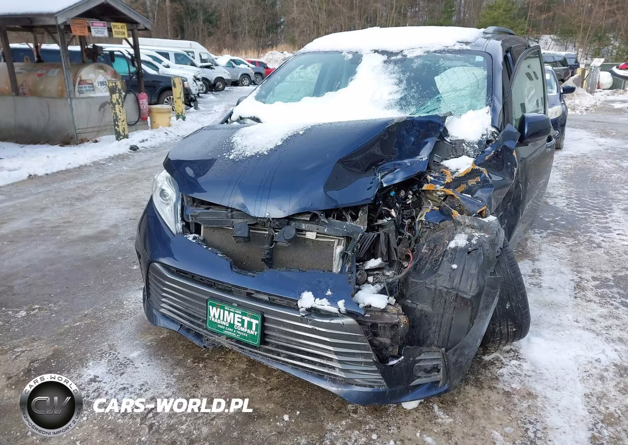 2020 Toyota Sienna Xle VIN:5TDDZ3DC4LS246421 - 6