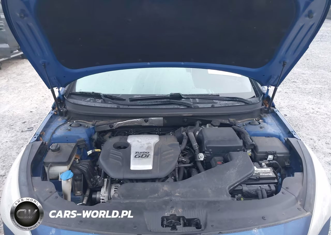 2015 Hyundai Sonata Eco VIN:5NPE24AA0FH109584 - 10