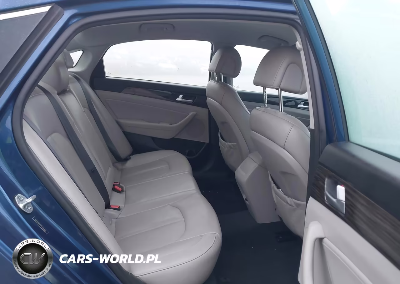 2015 Hyundai Sonata Eco VIN:5NPE24AA0FH109584 - 8