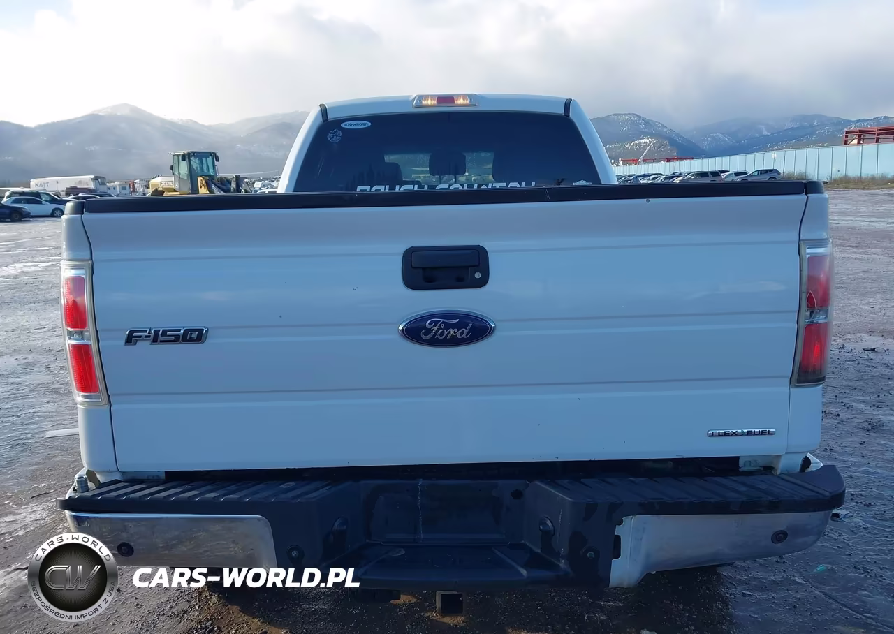 2013 Ford F-150 Xlt VIN:1FTFW1EF4DFB77472 - 17