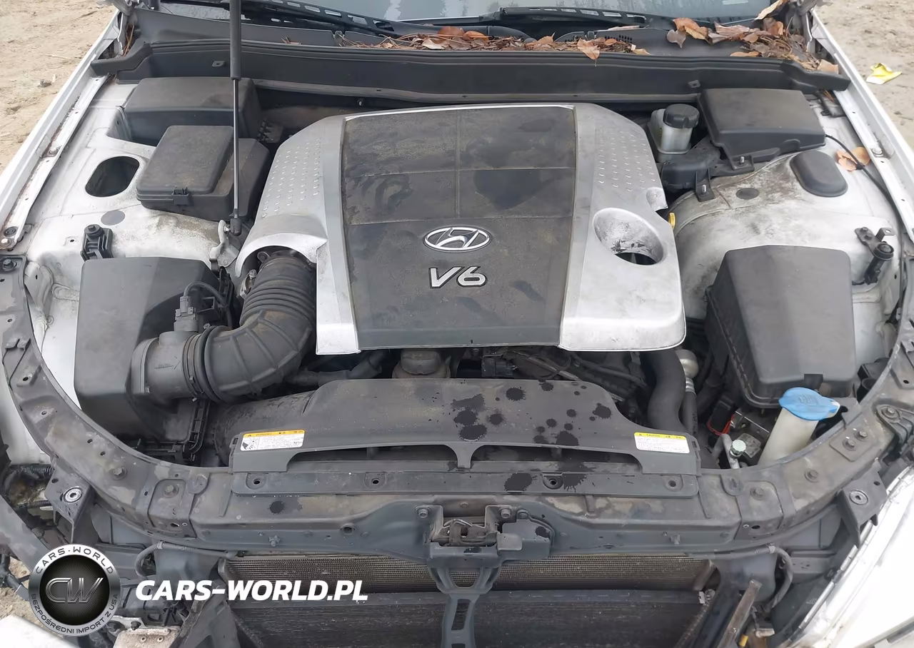 2010 Hyundai Genesis 3.8 VIN:KMHGC4DE5AU075298 - 10