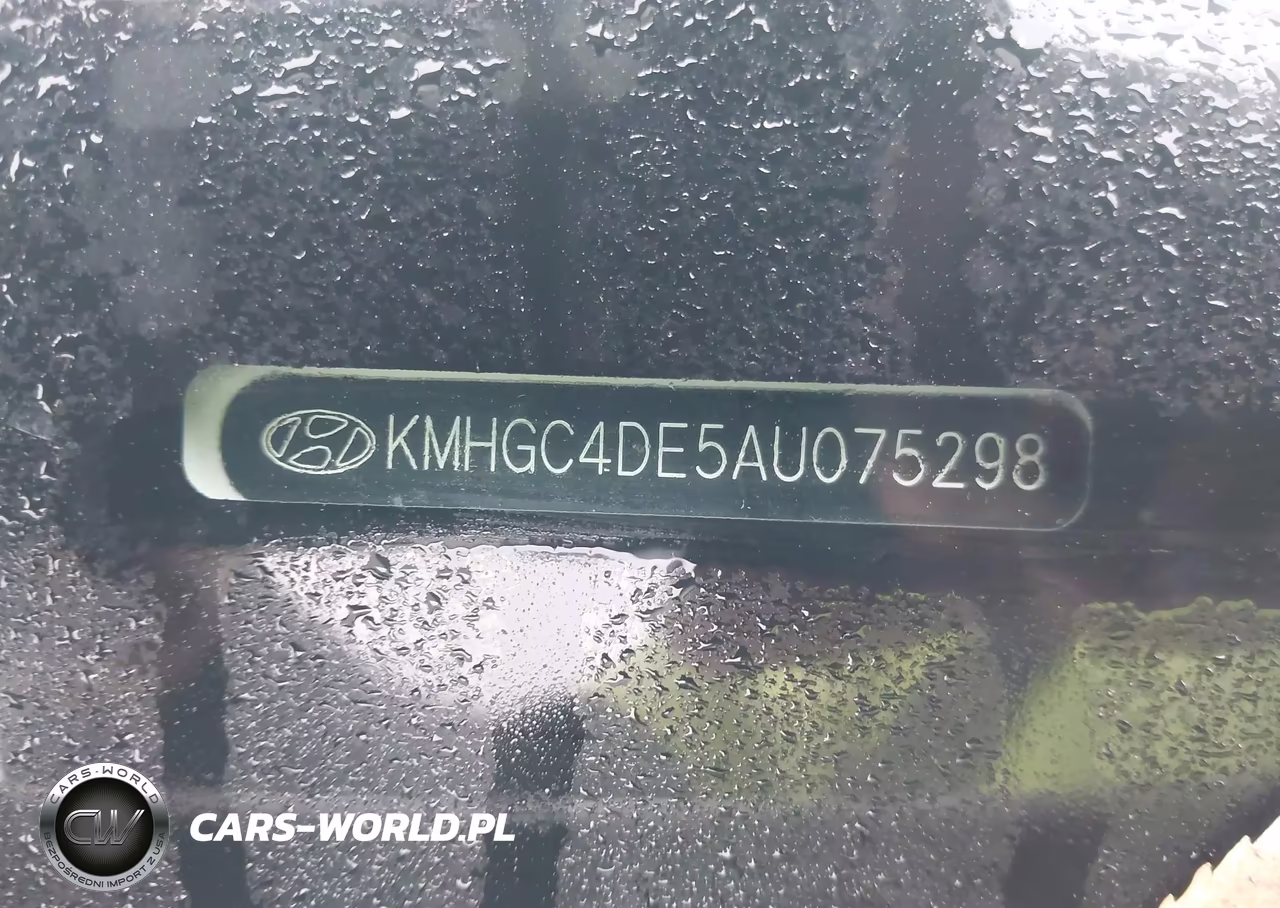 2010 Hyundai Genesis 3.8 VIN:KMHGC4DE5AU075298 - 18
