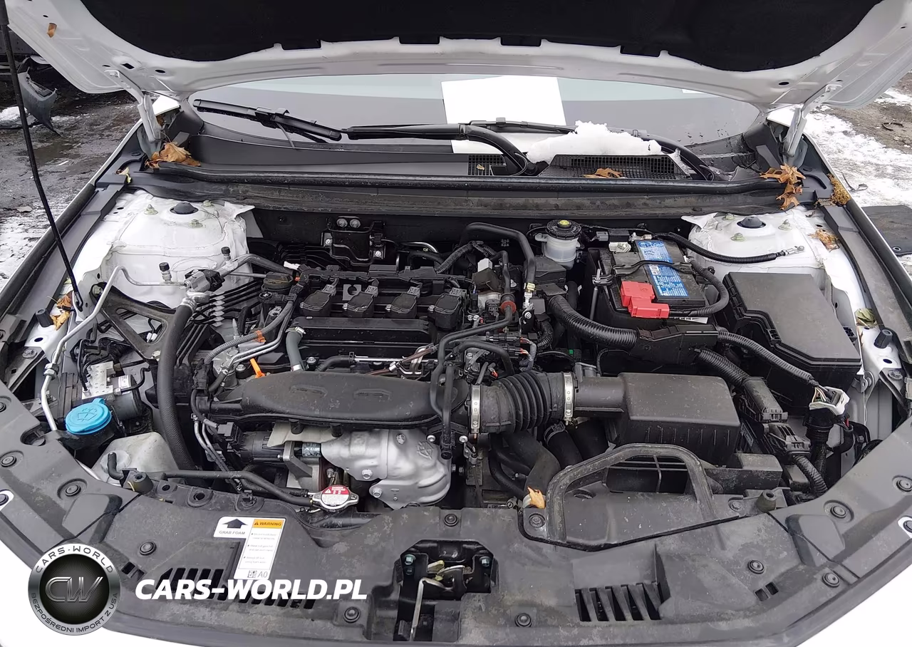 2024 Honda Accord Lx VIN:1HGCY1F2XRA074877 - 10