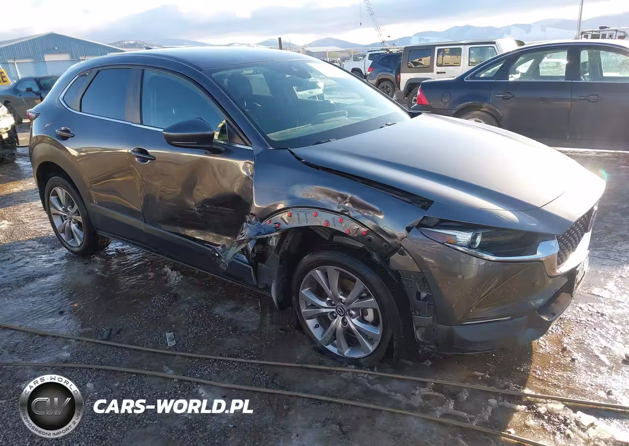 2020 Mazda Cx-30 Preferred Package