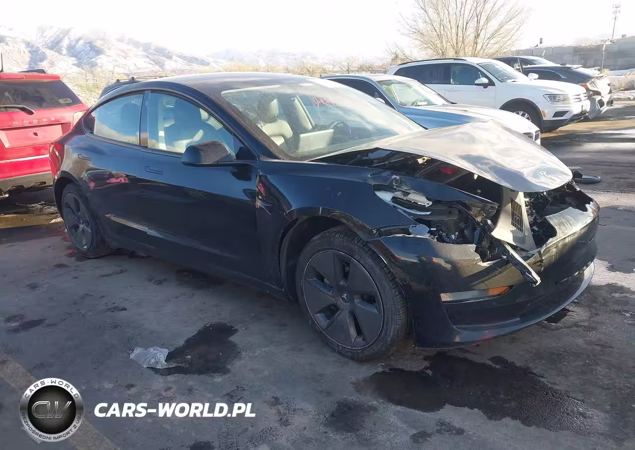 2021 Tesla Model 3 Long Range Dual Motor All-Wheel Drive