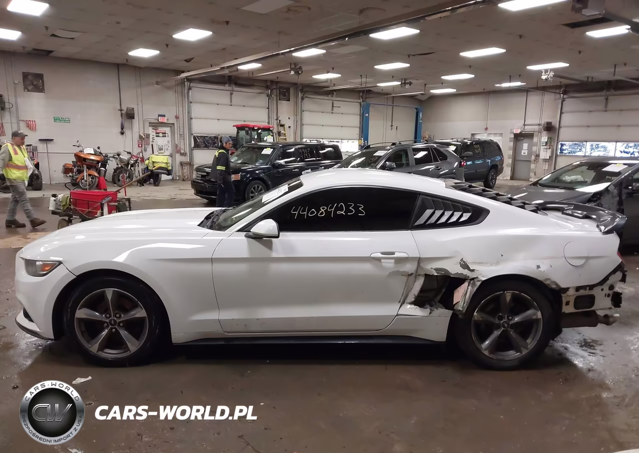 2015 Ford Mustang V6 VIN:1FA6P8AM0F5352423 - 15
