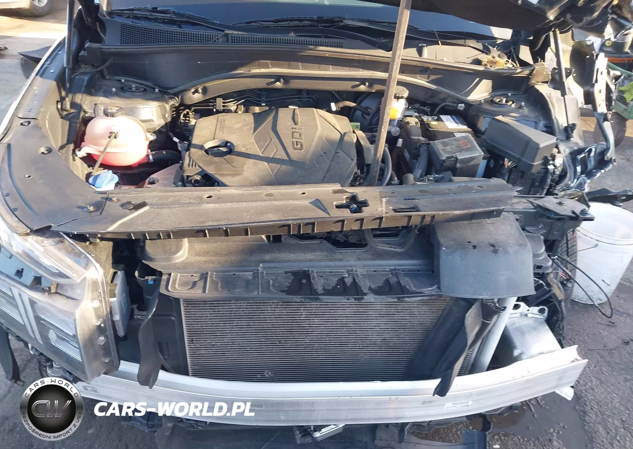 2023 Hyundai Santa Fe Sel VIN:5NMS2DAJ1PH649852 - 10