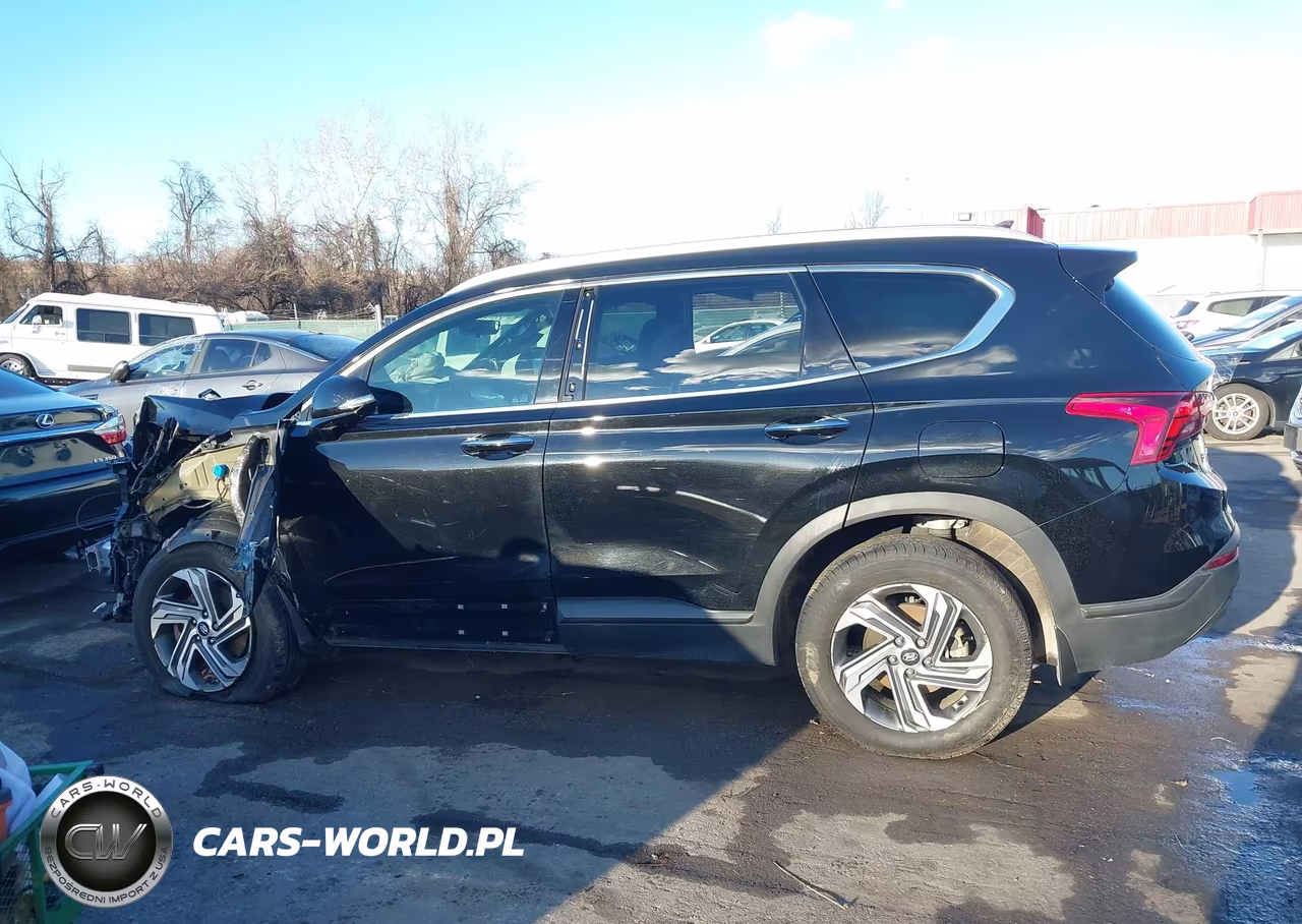 2023 Hyundai Santa Fe Sel VIN:5NMS2DAJ1PH649852 - 15
