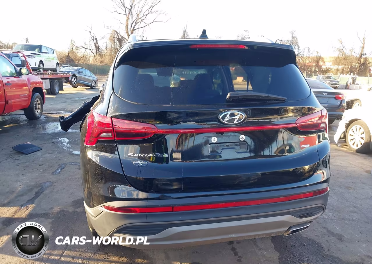 2023 Hyundai Santa Fe Sel VIN:5NMS2DAJ1PH649852 - 17
