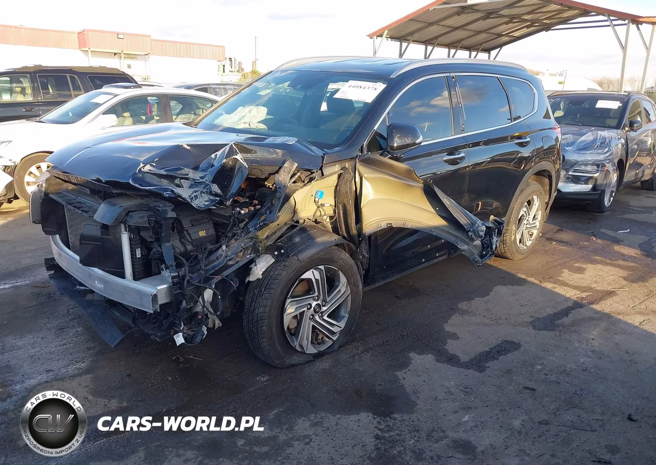 2023 Hyundai Santa Fe Sel VIN:5NMS2DAJ1PH649852 - 2