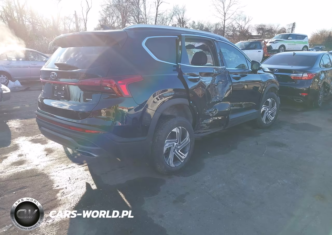 2023 Hyundai Santa Fe Sel VIN:5NMS2DAJ1PH649852 - 4