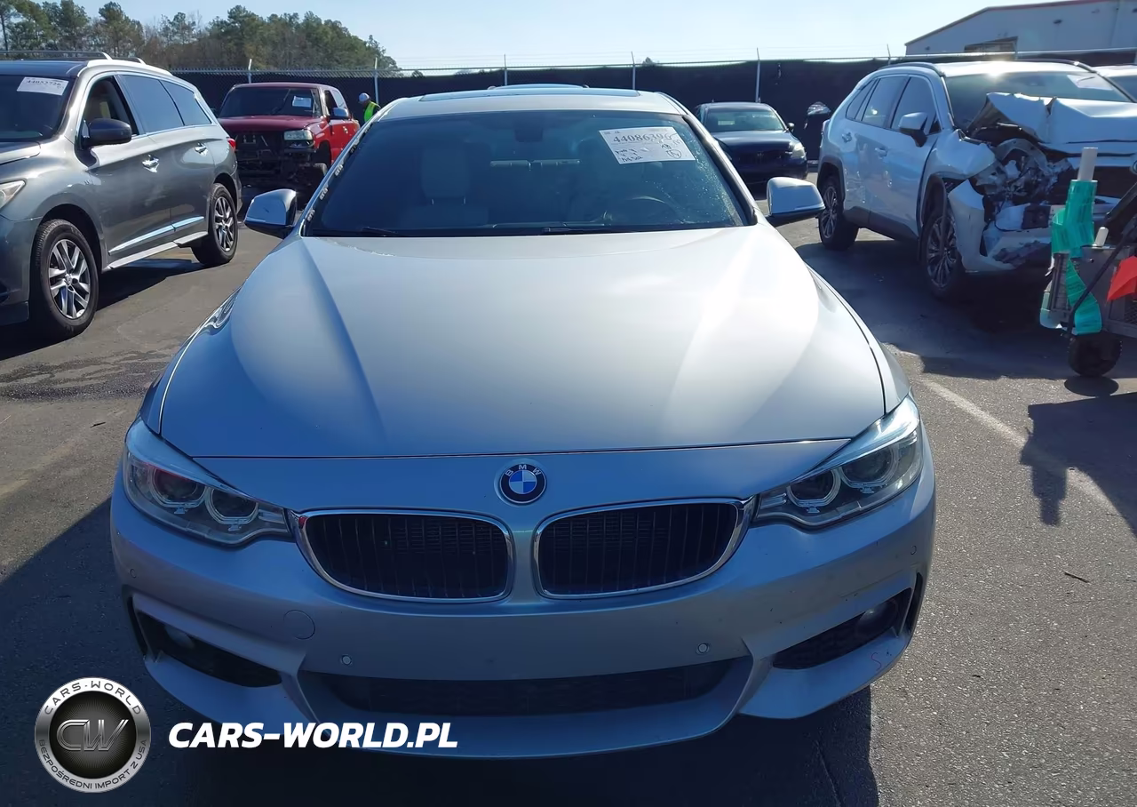 2016 BMW 428I Gran Coupe VIN:WBA4A9C53GGL87894 - 12