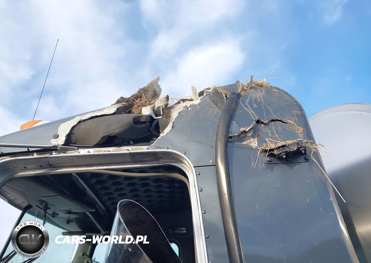 2017 Kenworth W900 VIN:1NKWX4EX4HJ154489 - 13