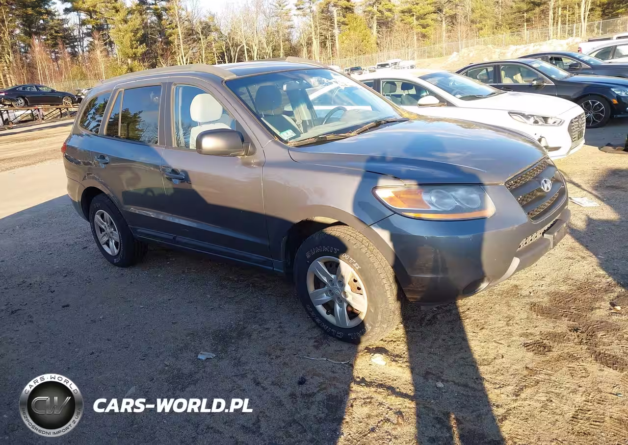 2009 Hyundai Santa Fe Gls