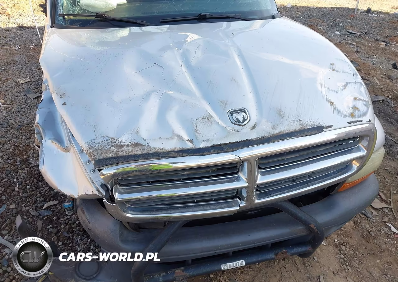 2004 Dodge Dakota VIN:1D7FL16K64S533860 - 6