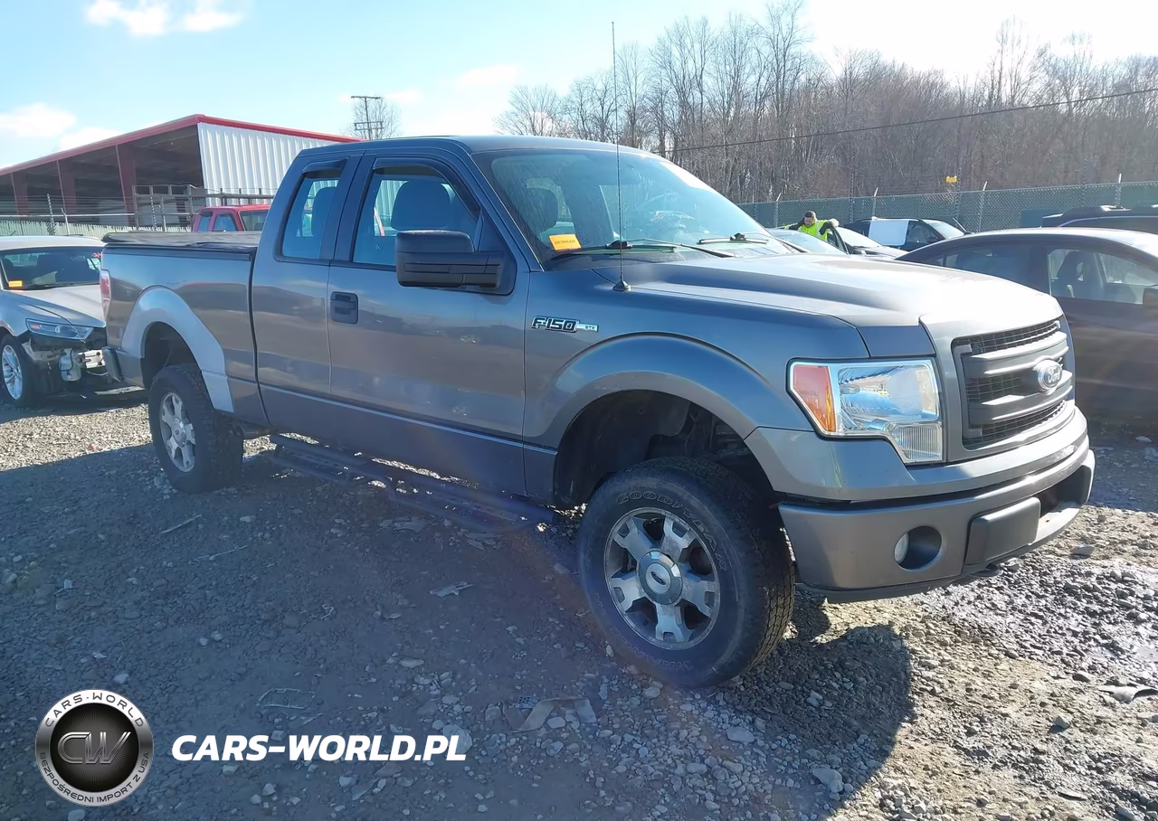 2010 Ford F-150 Stx-Xl