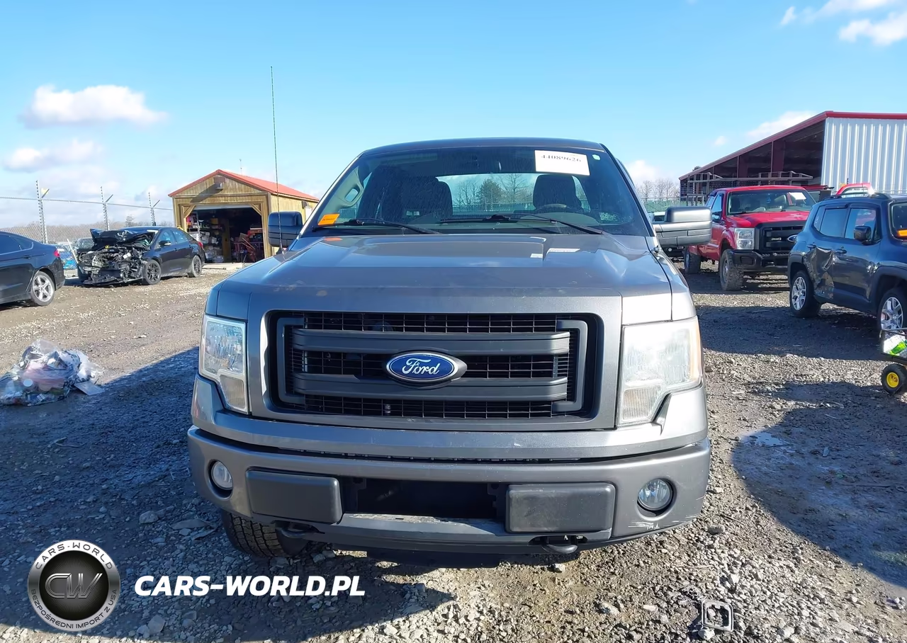 2010 Ford F-150 Stx-Xl VIN:1FTEX1EWXAFC70064 - 12