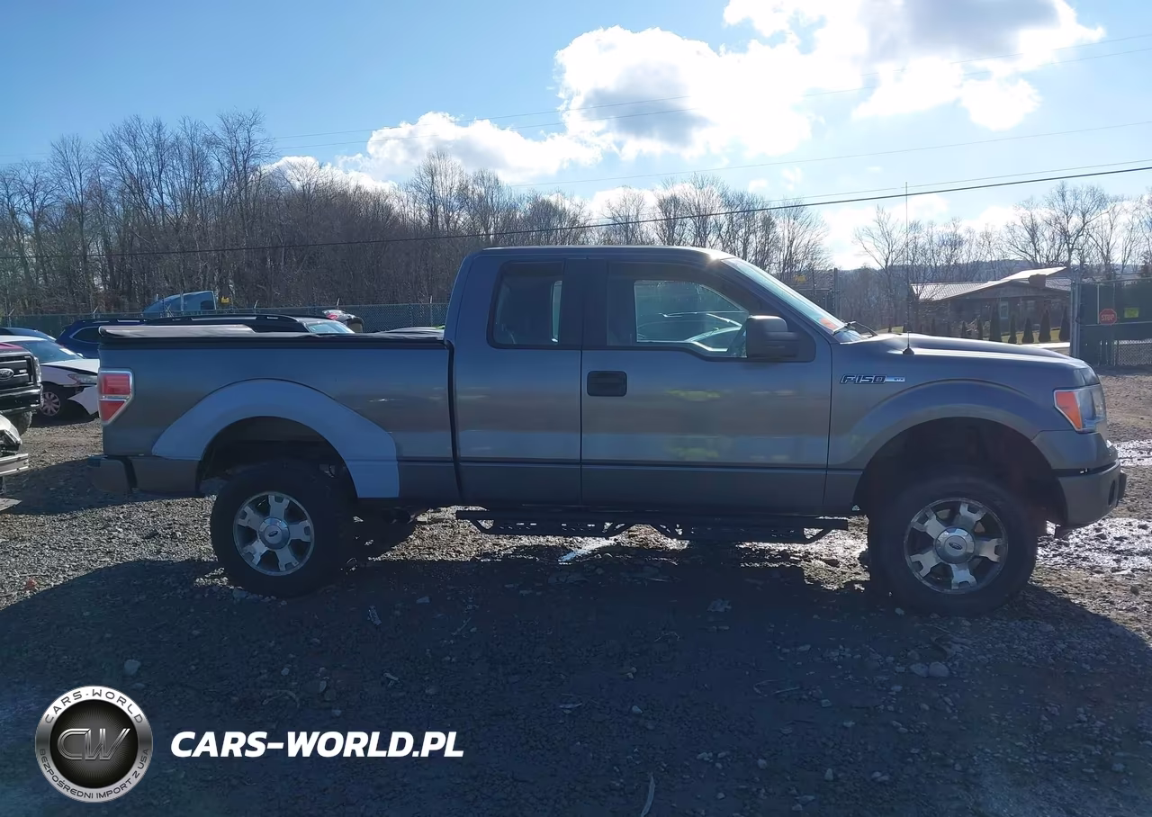 2010 Ford F-150 Stx-Xl VIN:1FTEX1EWXAFC70064 - 13