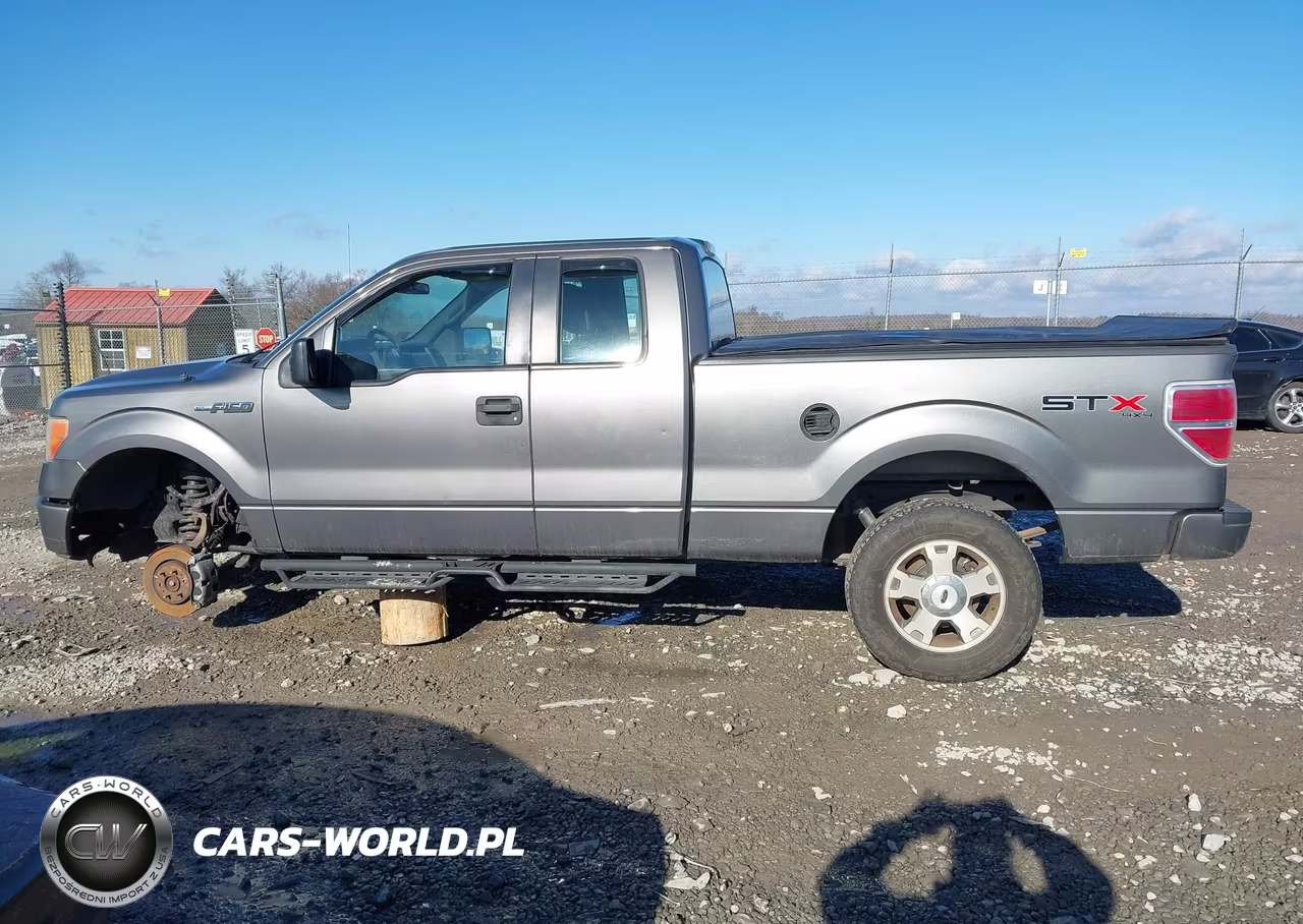 2010 Ford F-150 Stx-Xl VIN:1FTEX1EWXAFC70064 - 14