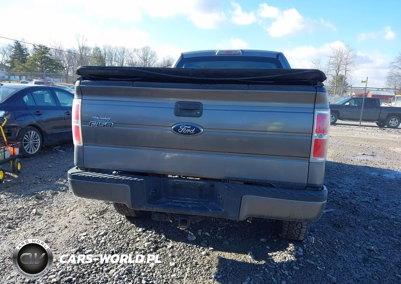 2010 Ford F-150 Stx-Xl VIN:1FTEX1EWXAFC70064 - 16