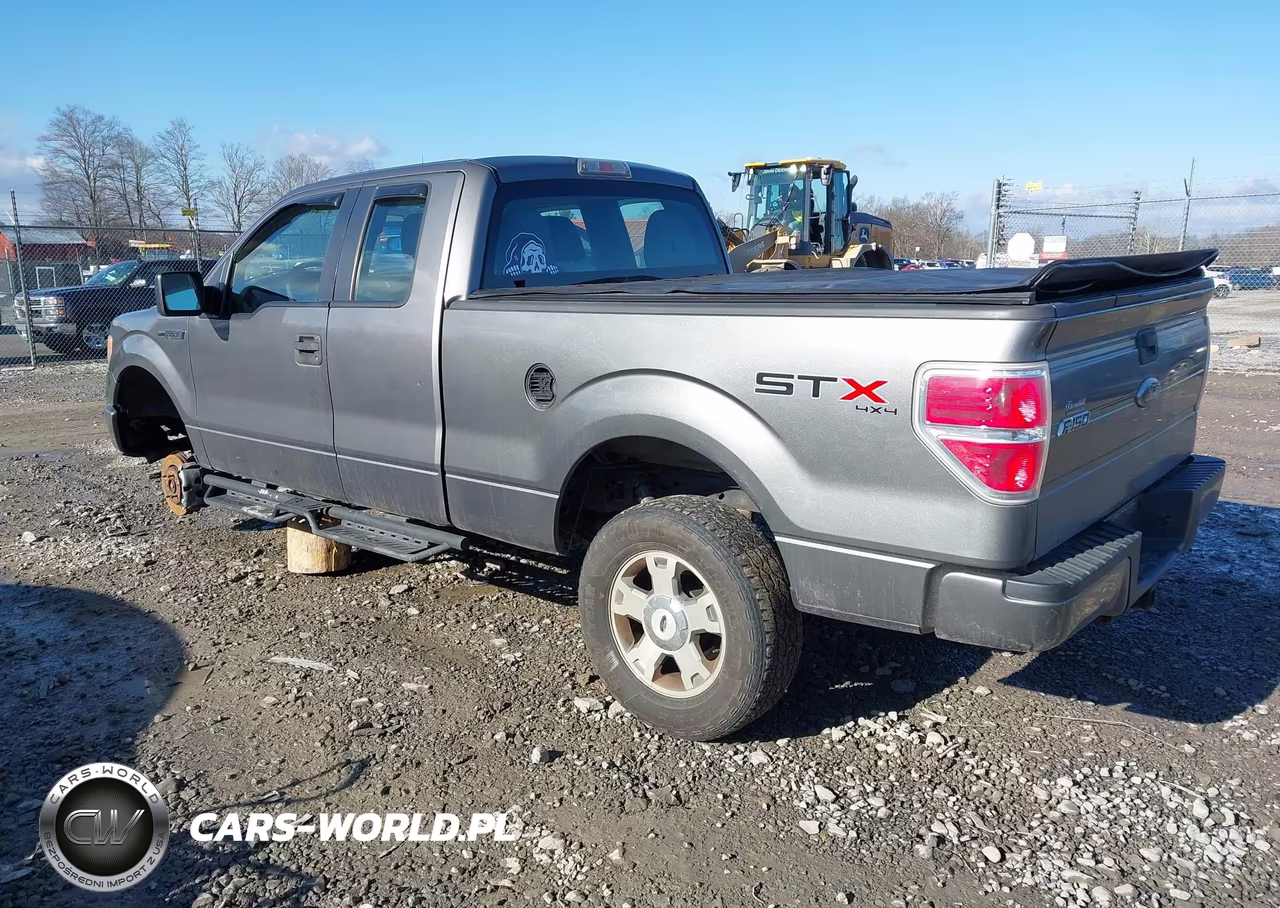 2010 Ford F-150 Stx-Xl VIN:1FTEX1EWXAFC70064 - 3
