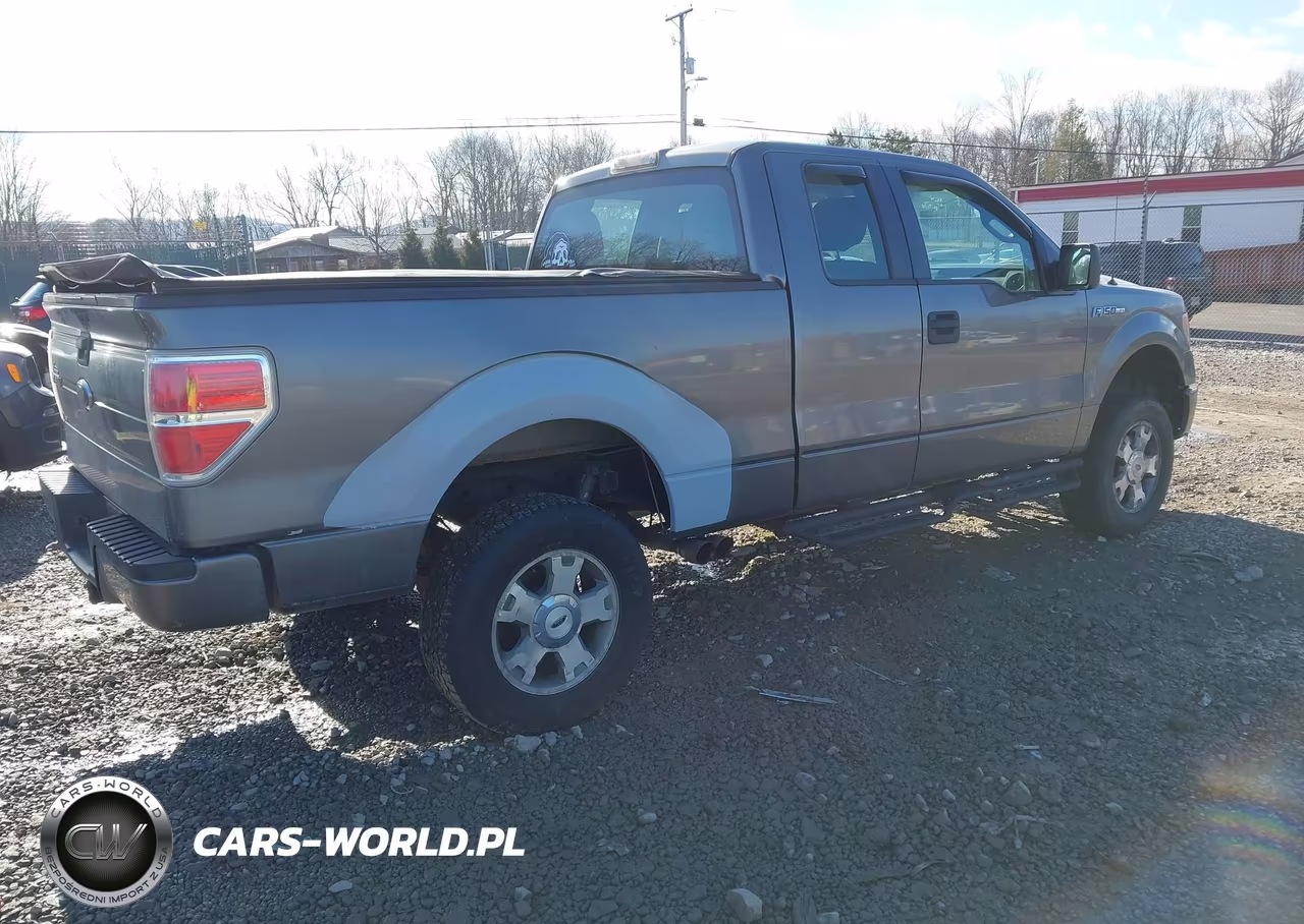 2010 Ford F-150 Stx-Xl VIN:1FTEX1EWXAFC70064 - 4