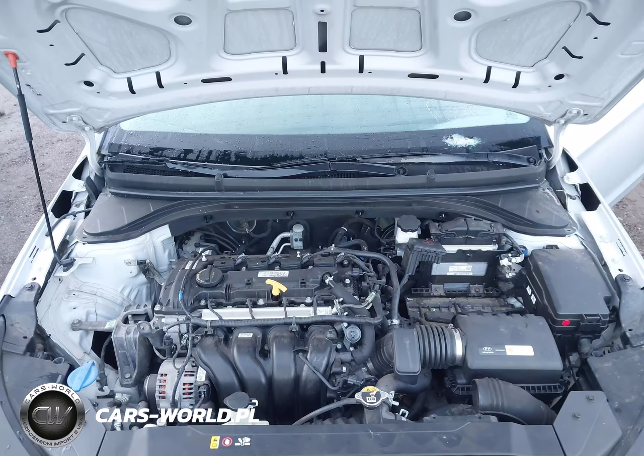 2019 Hyundai Elantra Se VIN:5NPD74LF0KH496637 - 10