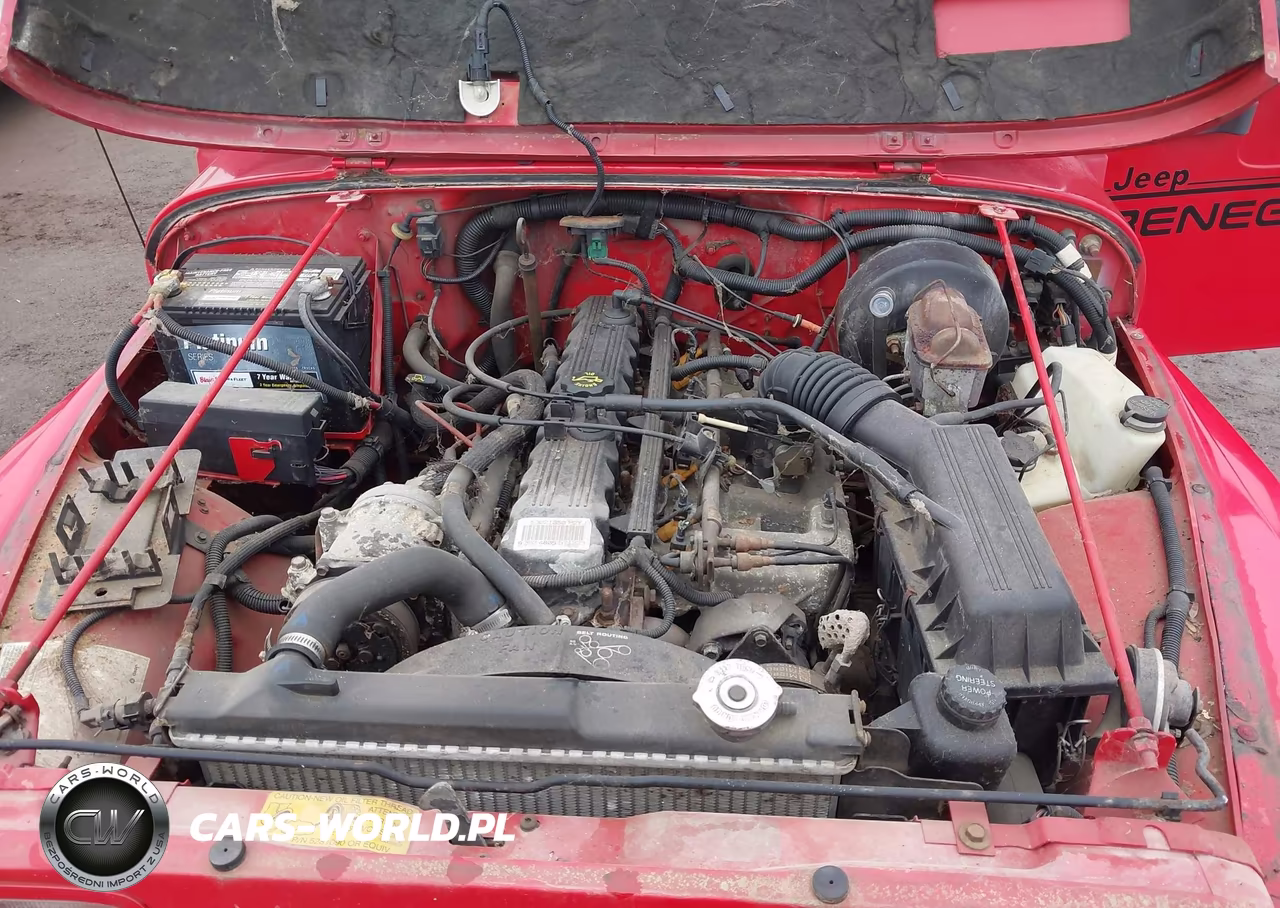 1994 Jeep Wrangler - Yj Renegade VIN:1J4FY69S6RP428292 - 10