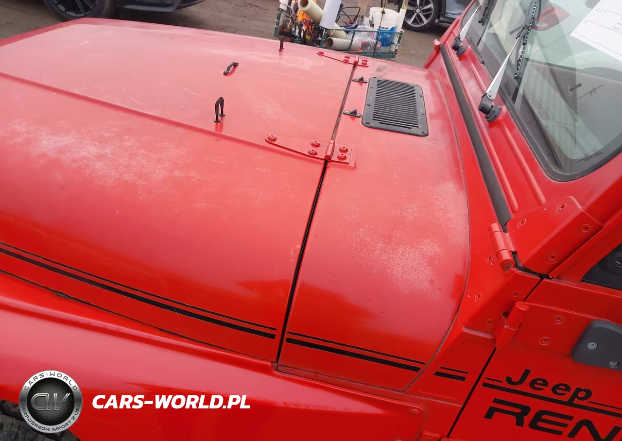 1994 Jeep Wrangler - Yj Renegade VIN:1J4FY69S6RP428292 - 13