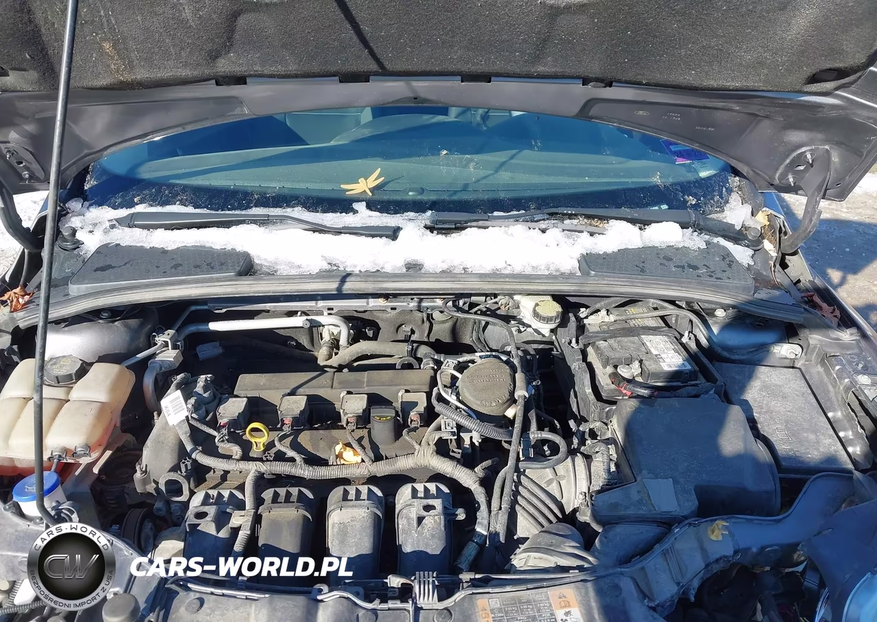 2014 Ford Focus Se VIN:1FADP3F21EL434592 - 10