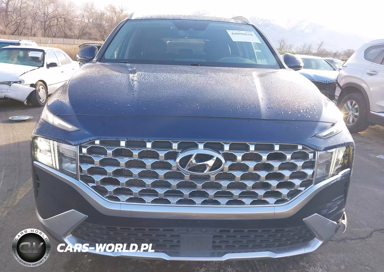 2021 Hyundai Santa Fe Sel VIN:5NMS3DAJ9MH339960 - 13
