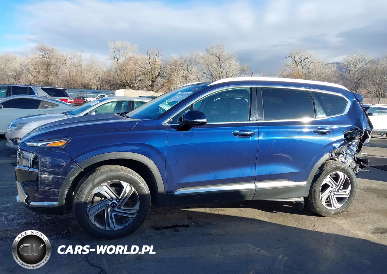 2021 Hyundai Santa Fe Sel VIN:5NMS3DAJ9MH339960 - 15