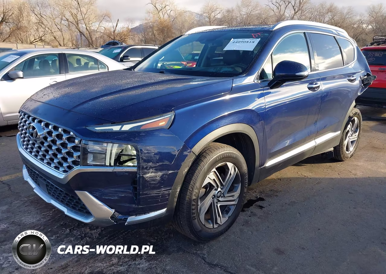 2021 Hyundai Santa Fe Sel VIN:5NMS3DAJ9MH339960 - 2