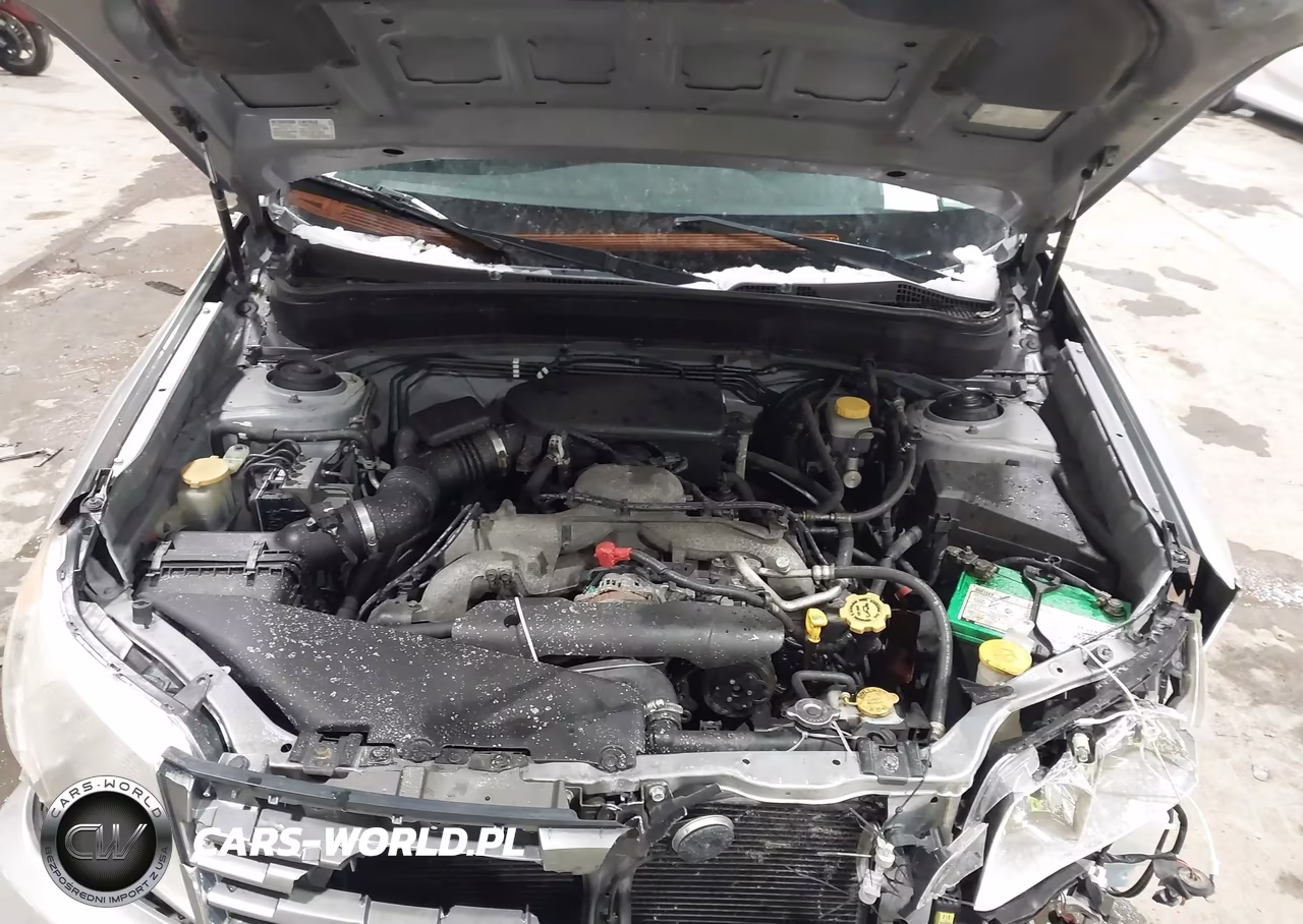2010 Subaru Forester 2.5X Premium VIN:JF2SH6CC6AH746502 - 10