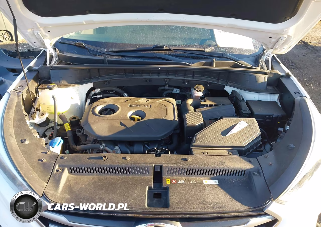 2018 Hyundai Tucson Se VIN:KM8J23A43JU768109 - 10
