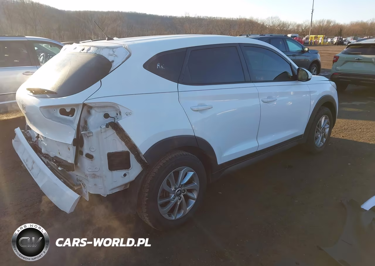 2018 Hyundai Tucson Se VIN:KM8J23A43JU768109 - 4