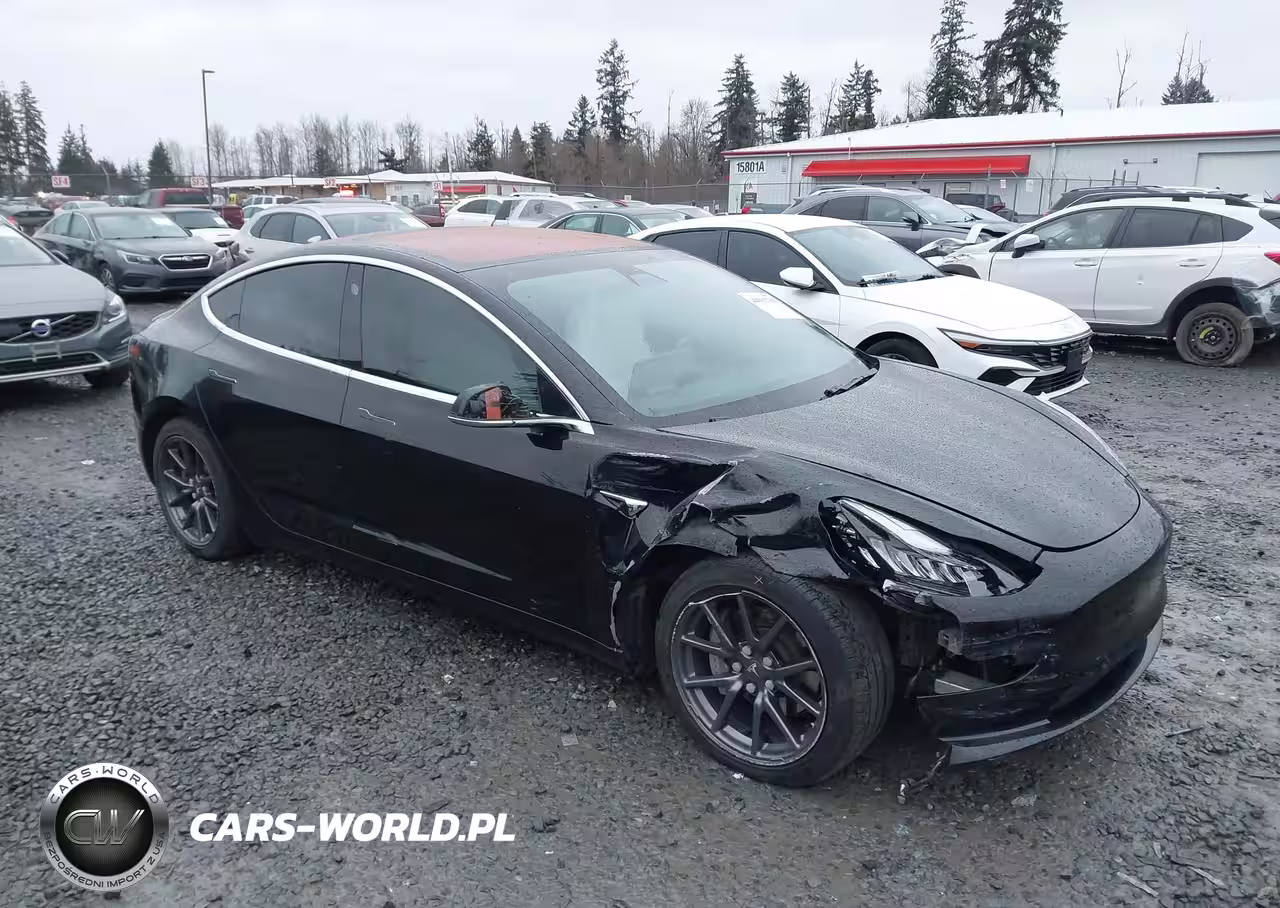 2019 Tesla Model 3 Long Range-Performance