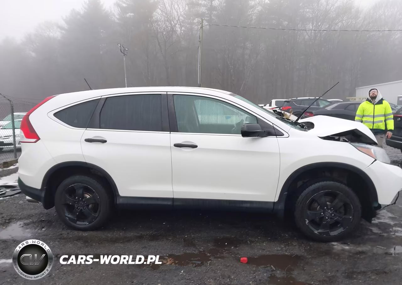 2014 Honda Cr-V Lx VIN:5J6RM4H3XEL038451 - 14