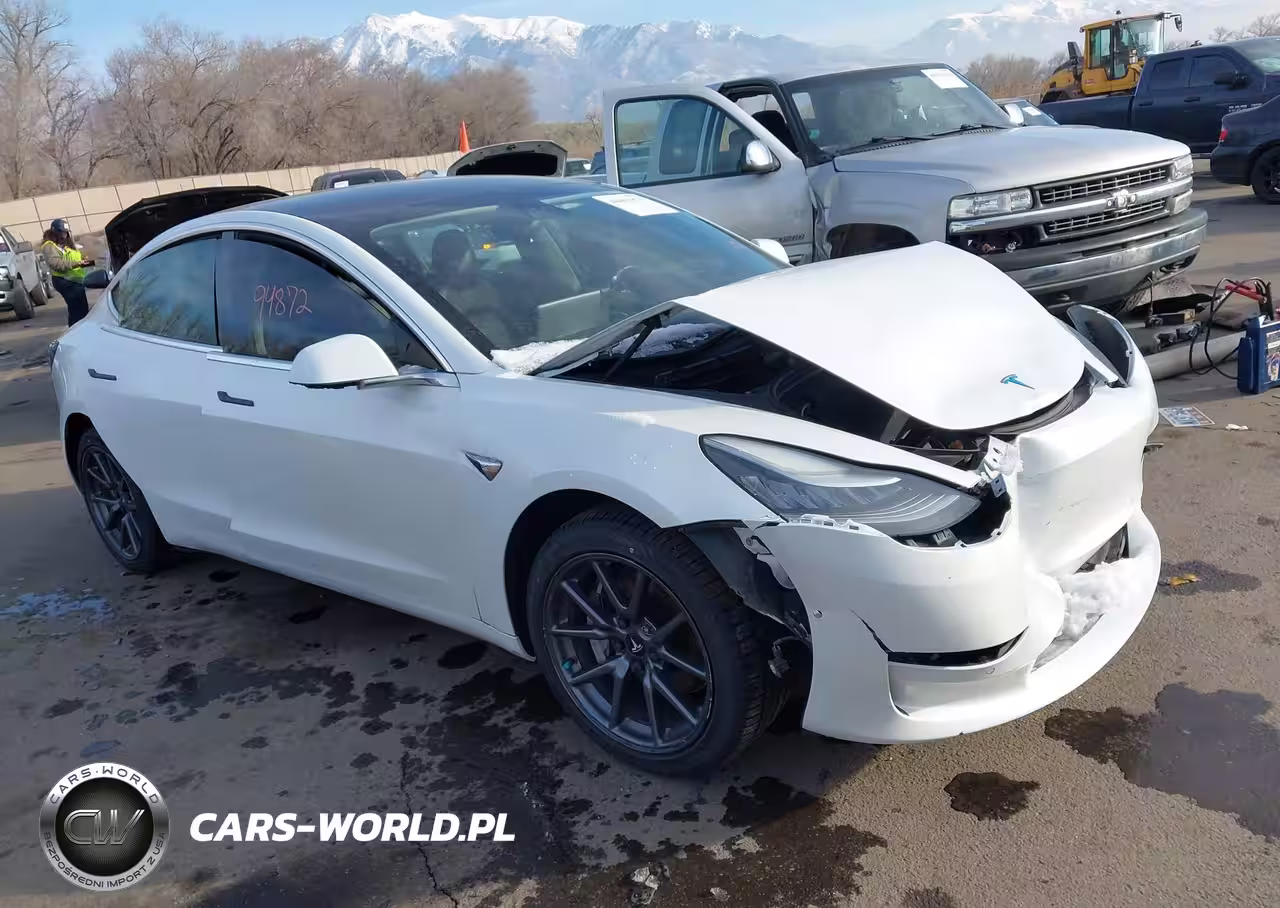 2020 Tesla Model 3 Long Range Dual Motor All-Wheel Drive