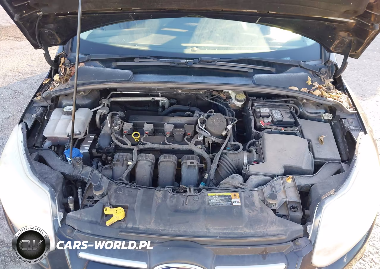 2013 Ford Focus Se VIN:1FADP3K25DL135885 - 10