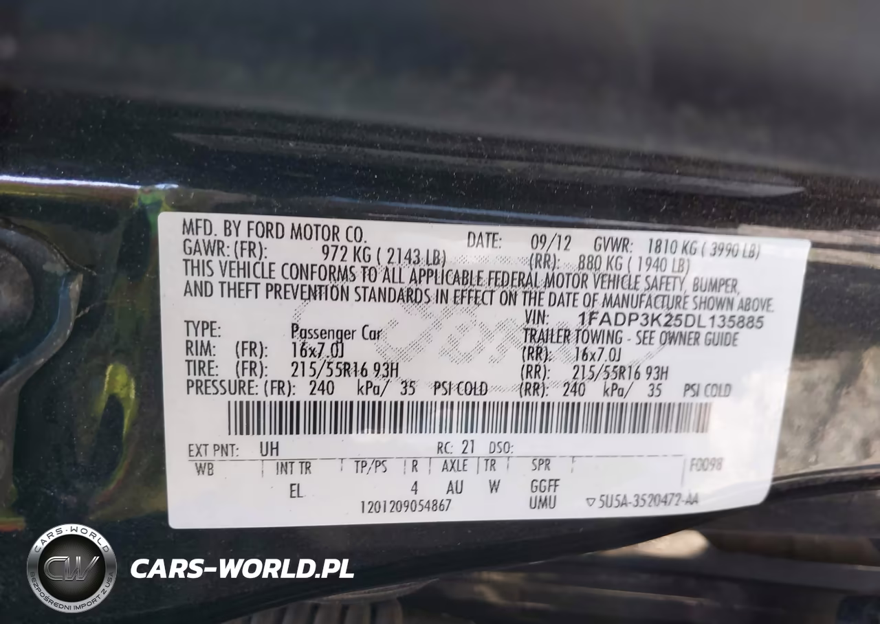2013 Ford Focus Se VIN:1FADP3K25DL135885 - 9