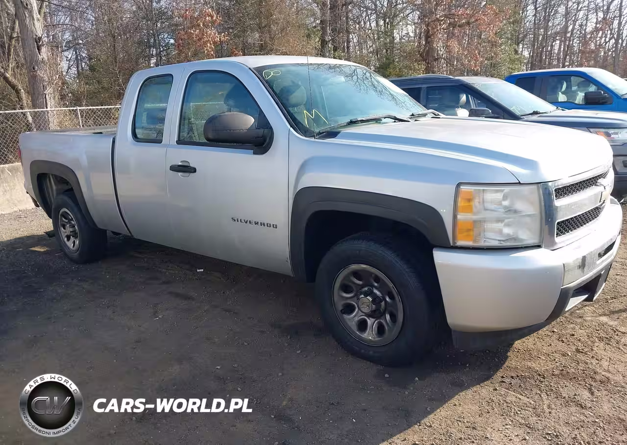 2010 Chevrolet Silverado 1500 Work Truck