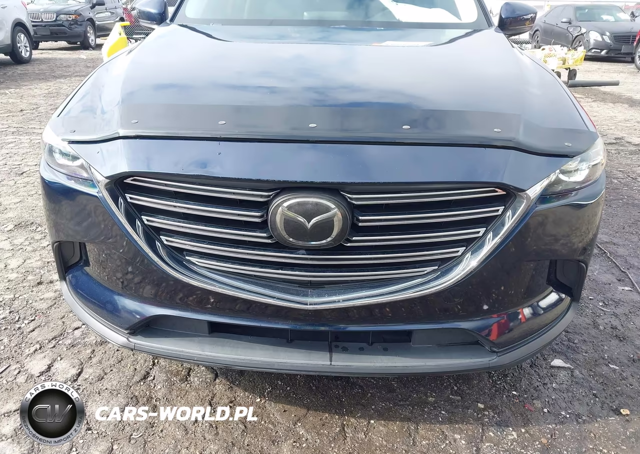 2018 Mazda Cx-9 Touring VIN:JM3TCACY3J0209995 - 12