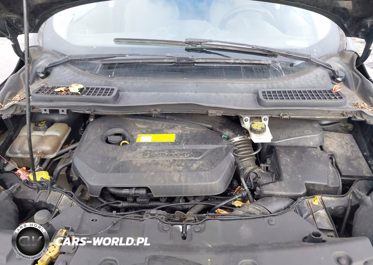 2016 Ford Escape Se VIN:1FMCU9GX3GUB75494 - 10