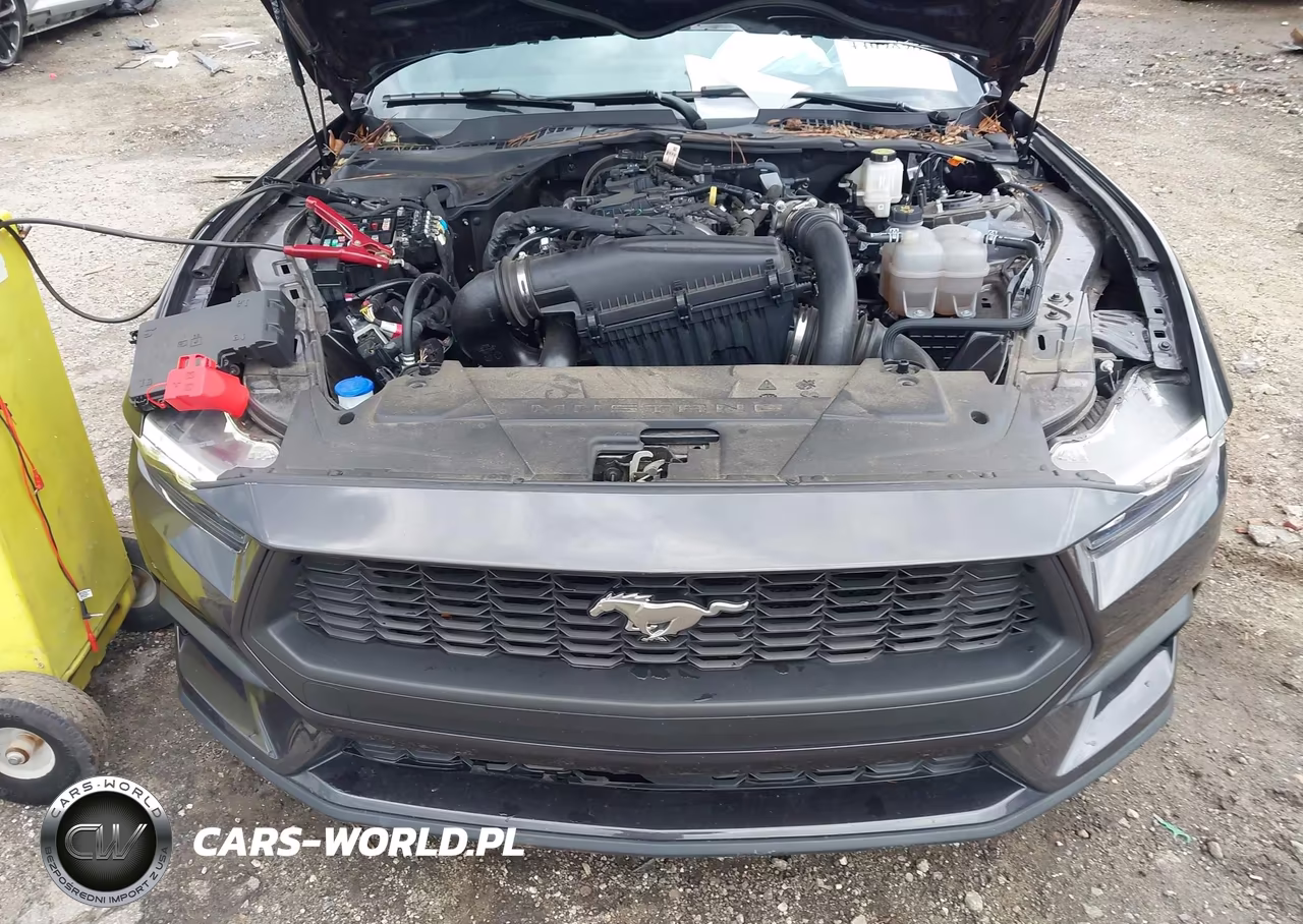 2024 Ford Mustang Ecoboost Fastback VIN:1FA6P8TH2R5146377 - 10